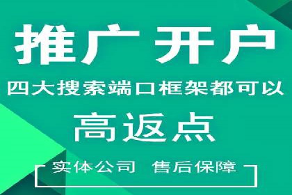 百度推广费用的投入与市场占有率提升的关联案例